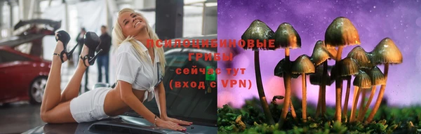 твердый Гусиноозёрск