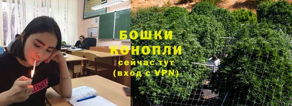экстази Гусев