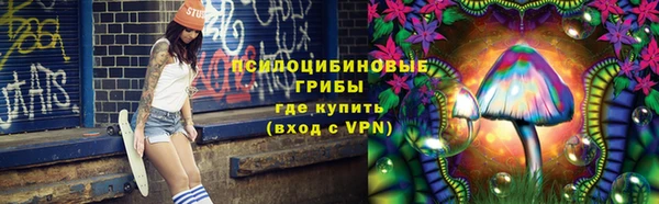 экстази Гусев