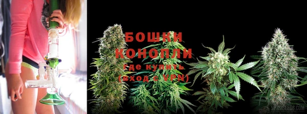 экстази Гусев