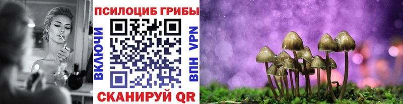 Галлюциногенные грибы Psilocybe  Таштагол 